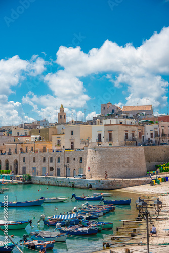 Cuadro en lienzo Bisceglie harbour, Puglia, southern Italy — panoramic view of the historic old town with medieval tower, fishing boats on turquoise Adriatic Sea water, and busy seafront promenade