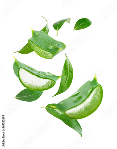 Composition of flying tea leaves and aloe vera slices