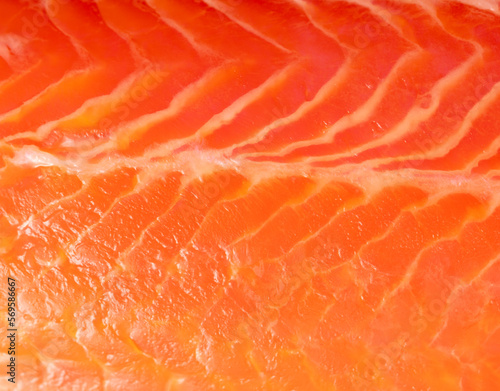 Salmon red fish fillet as a background.