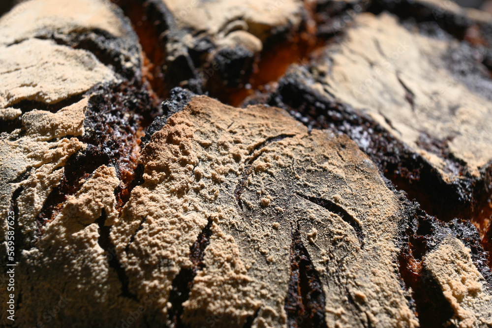 close up of crusty bread, dark and crunchy close up of crusty bread, dark and crunchy