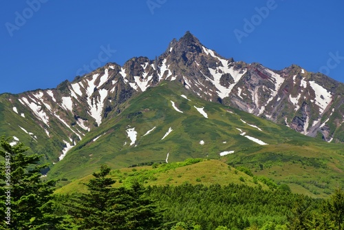 Wallpaper Mural 利尻岳　新緑の季節 Torontodigital.ca