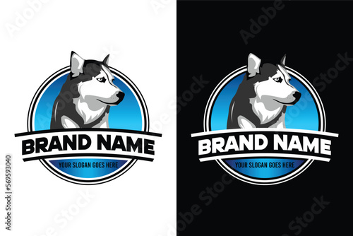 Realistic black and white blue-eyed fluffy siberian husky dog illustration emblem logo design