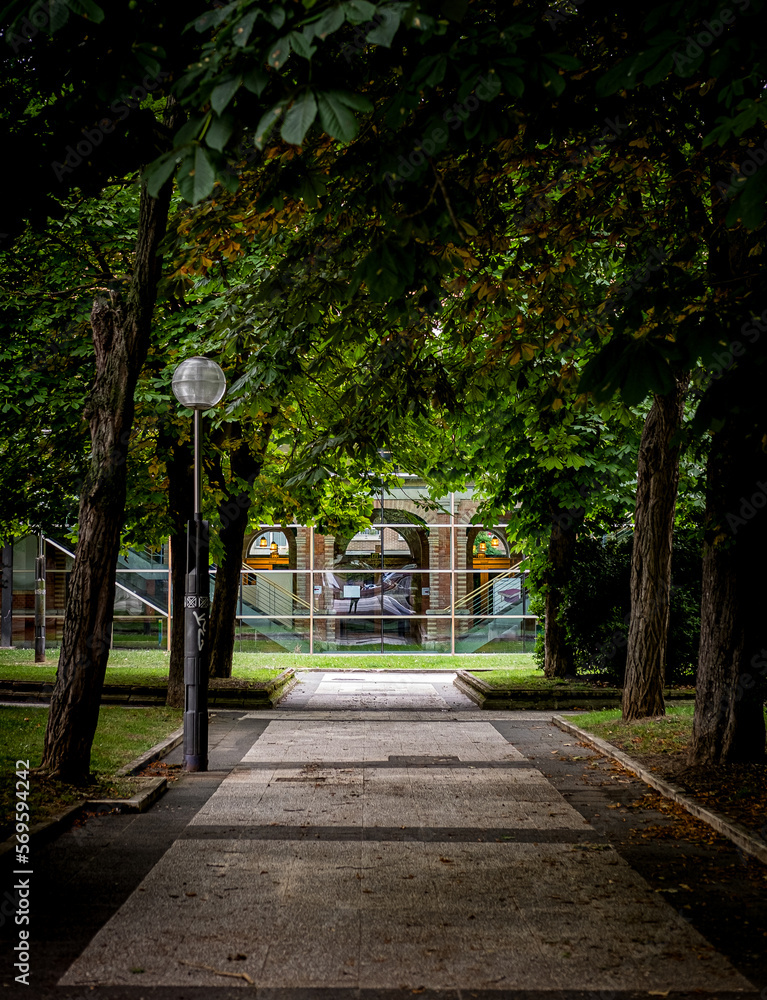 Obraz premium alley in the park