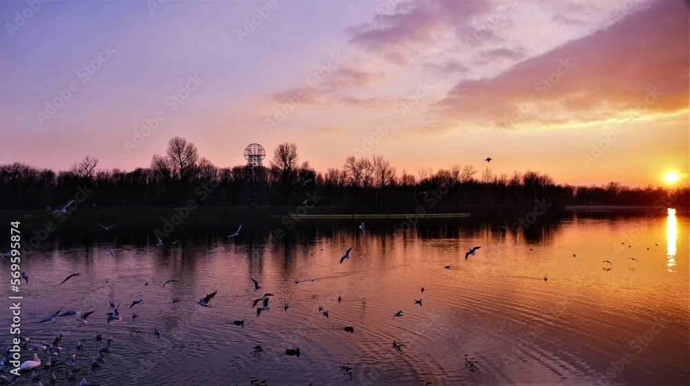 Naklejka premium Beautiful purple sunset on the lake