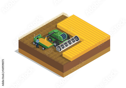 Farm field with tractor. Process automation and machine for harvesting and wheat. Agriculture and farming. Natural and organic products. Cartoon isometric vector illustration