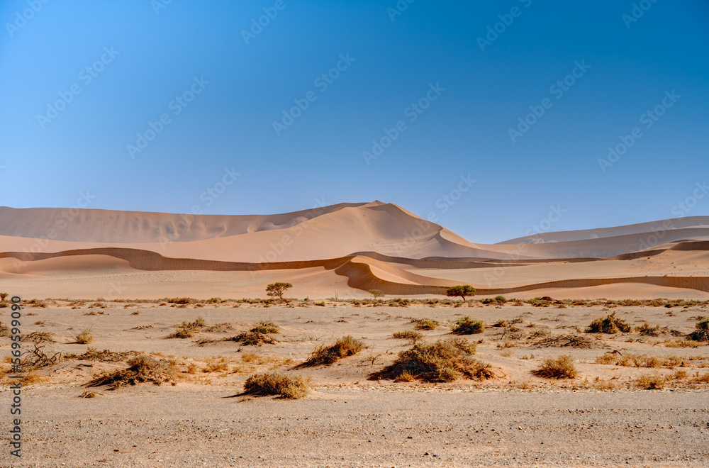 Namib Desert near Sossusvlei, Namibia