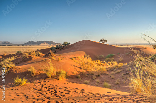 Namib Desert near Sossusvlei, Namibia