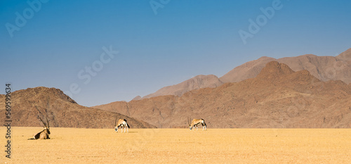 Namib Desert near Sossusvlei  Namibia