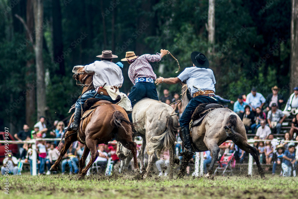 Gauchos montando caballos, jineteadas Gauchos montando caballos, jineteadas