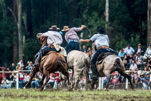 Gauchos montando caballos, jineteadas © Diego
