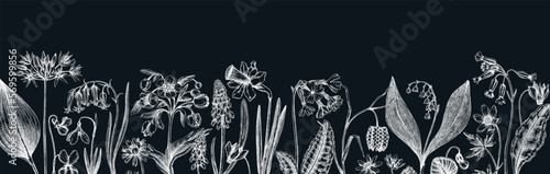 Horizontal vintage banner with wildflowers sketches. Floral backdrop on chalkboard. Delicate contoured blooming flowers and leaves border. Spring woodland or garden botanical vector background