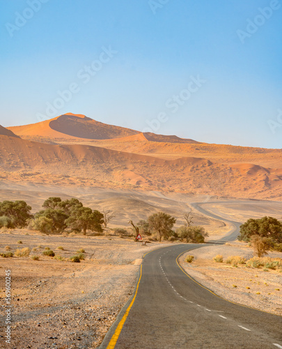 Namib desert near Sossusvlei