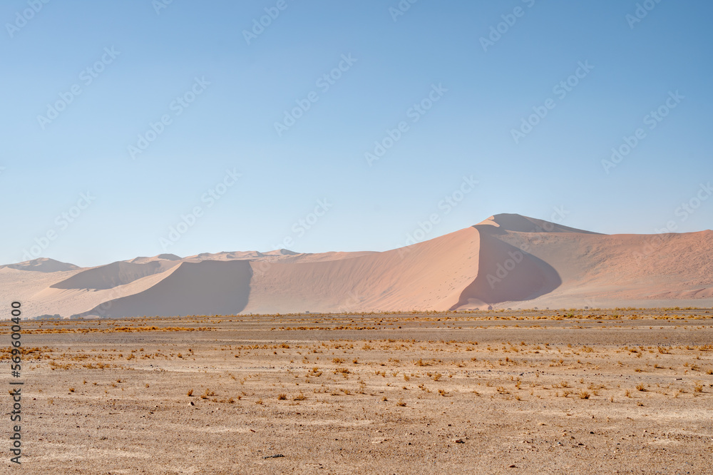 Namib desert near Sossusvlei