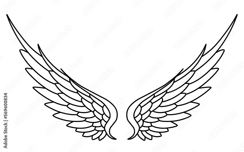 Fototapeta premium Vector angel wings line art design isolated