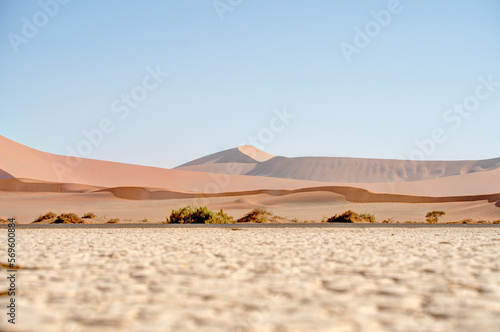 Namib desert near Sossusvlei