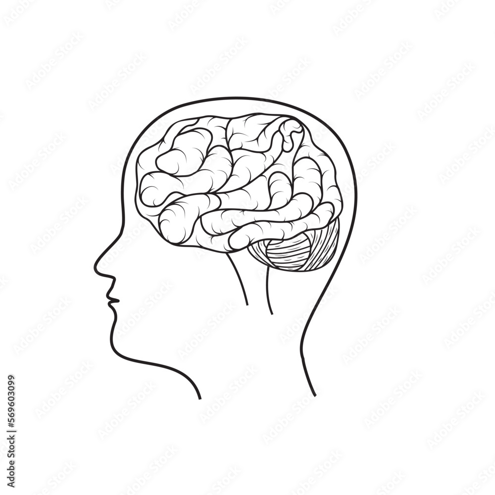 human brain, black outline, isolated vector illustration in doodle style human brain, black outline, isolated vector illustration in doodle style