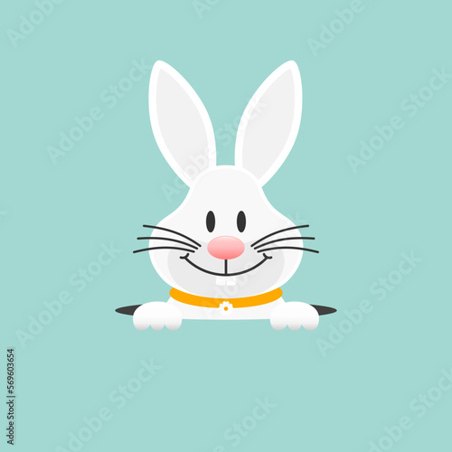 Weißer Osterhase Im Loch Türkis