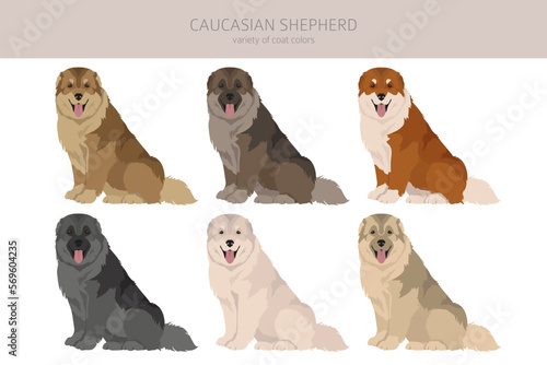 Caucasian shepherd clipart. Different poses, coat colors set