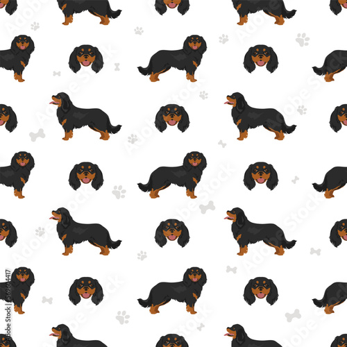 Cavalier King Charles Spaniel seamless pattern