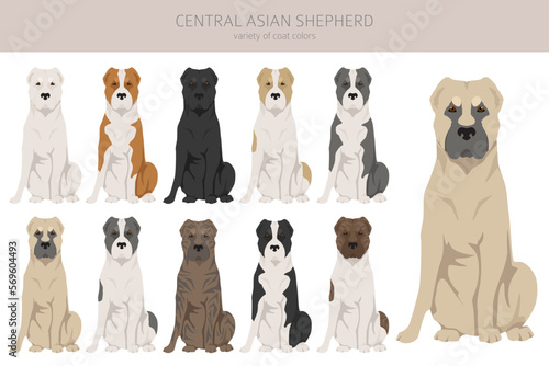 Central asian shepherd clipart. Different poses, coat colors set