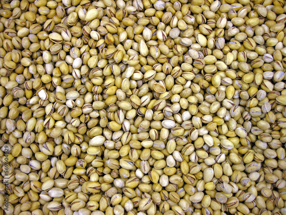 Closeup of a large quantity of pistachios. Closeup of a large quantity of pistachios.