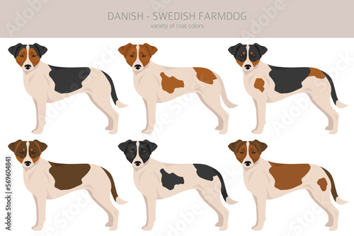 Danish swedish farmdog clipart. Different poses, coat colors set