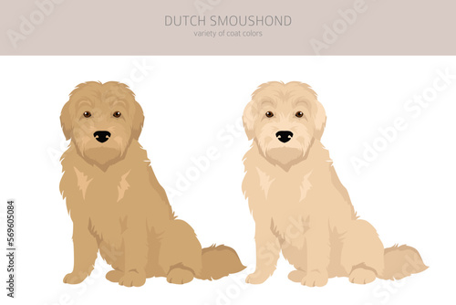 Dutch Smoushond clipart. Different poses, coat colors set