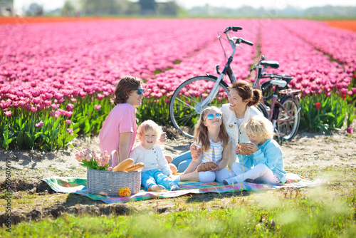 Family picnic at tulip flower field, Holland #569607491