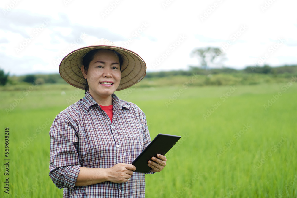 Asian woman farmer is at paddy firled, wear hat and plaid shirt, hold smart tablet to inspect growth and diseases of plants. Concept : smart farmer, use technology in agriculture.  