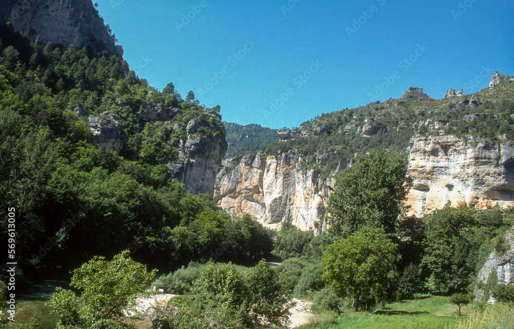 Parc naturel régional des Grands Causses, Gorges du Tarn, 48; Lozere, France Parc naturel régional des Grands Causses, Gorges du Tarn, 48; Lozere, France