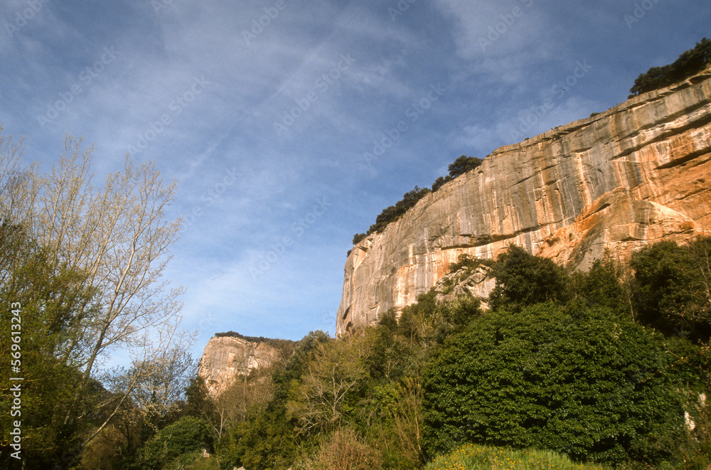 Falaise de Brioux, Parc naturel régional du Luberon, 84, Vaucluse, France