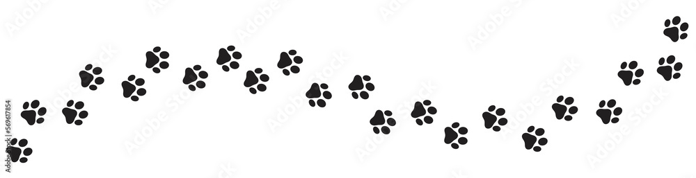 Paw print of dog isolated on transparent background. cat paw print. cat walk foot print. Paw print of dog PNG - obrazy, fototapety, plakaty 