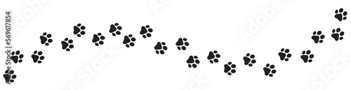 Paw print of dog isolated on transparent background. cat paw print. cat walk foot print. Paw print of dog PNG photo