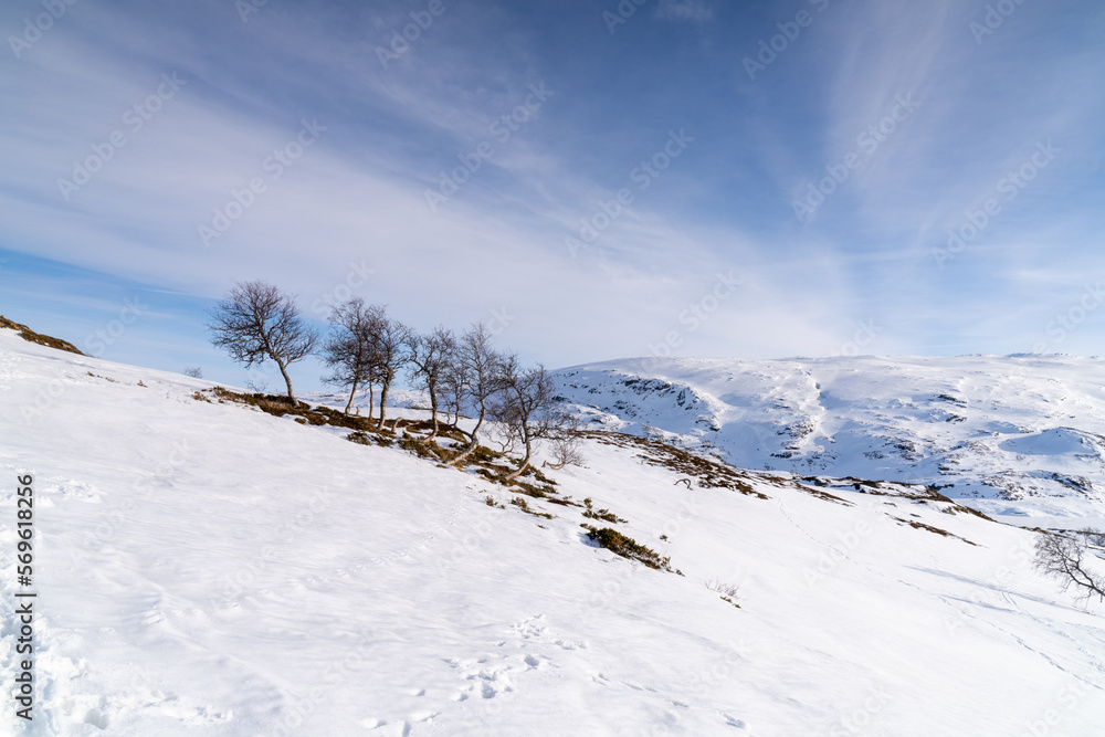 Haukelifjell is a mountain area and a mountain pass in South Norway., Scandinavia Haukelifjell is a mountain area and a mountain pass in South Norway., Scandinavia
