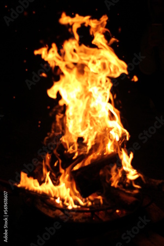 chamas da fogueira 7 © Leonardo