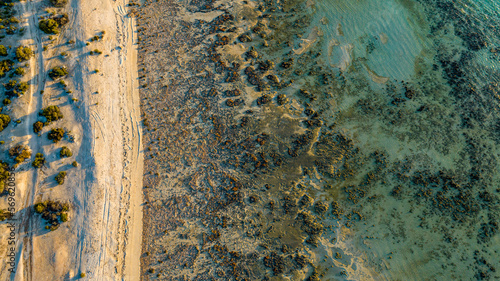 Aerial of the Hamelin Pool stromatolites, Shark Bay, UNESCO World Heritage Site, Western Australia, Australia, Pacific