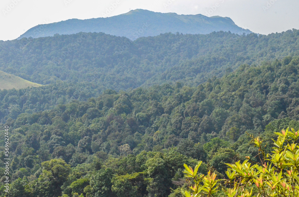 Obraz premium Kuduremukh mountain range, India
