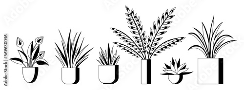 Plant in pot, flowerpots set in line art style. Cartoon flat different indoor potted decorative houseplants for interior home or office decoration, green garden floral collection isolated on white