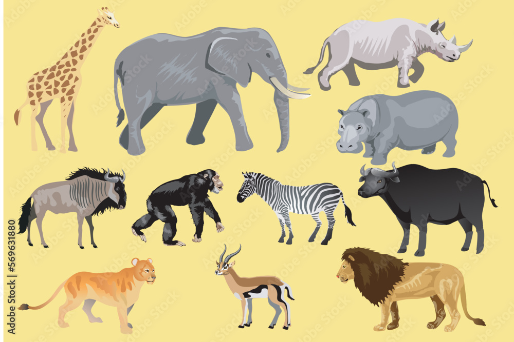 African W@ild Life Animal Vector