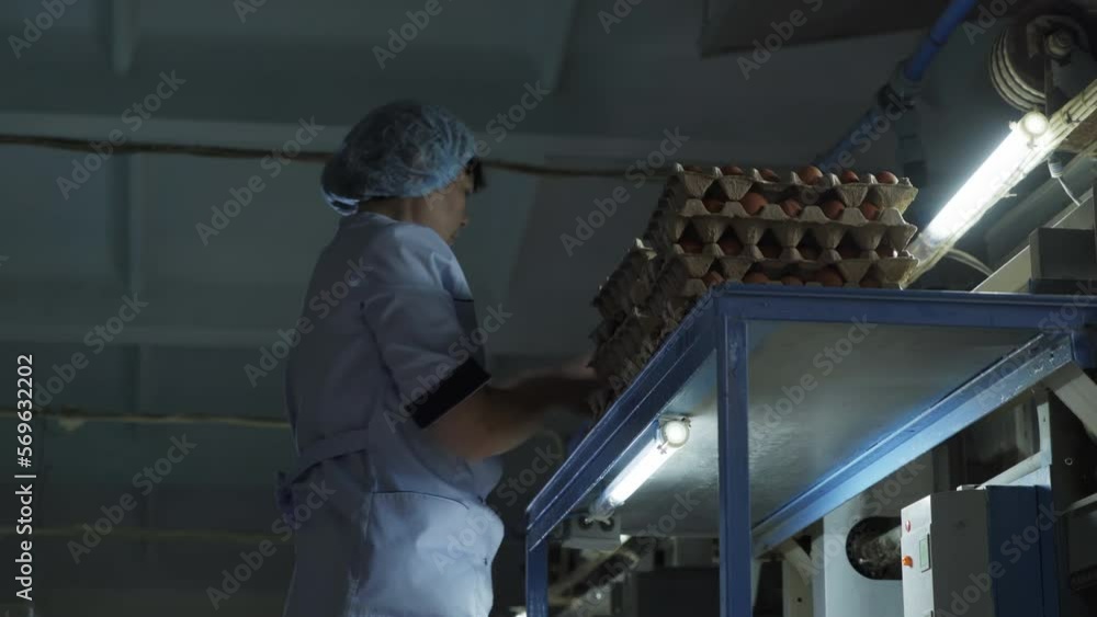Worker Sorts Freshly Produced Farm Eggs On Stacked Cartons. Sorting Organic Food In Storage Room. Chicken Eggs Farming. Inspecting Egg And Placing In Carton. Packaging Process. Agriculture Worker Sorts Freshly Produced Farm Eggs On Stacked Cartons. Sorting Organic Food In Storage Room. Chicken Eggs Farming. Inspecting Egg And Placing In Carton. Packaging Process. Agriculture