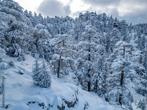 Wallpaper Mural amazing textures with enchanting mountains, magnificent forests and winter landscapes Torontodigital.ca