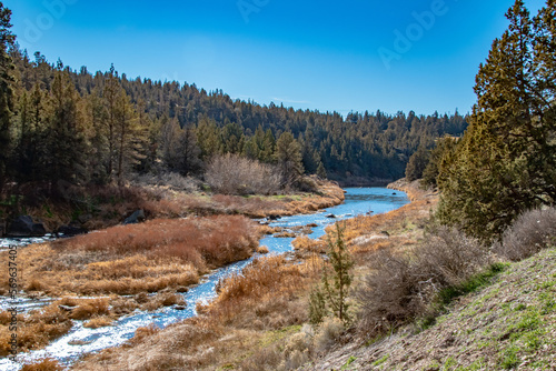 Schilderij op canvas River Running Through Forest in Smith Rock State Park, OR