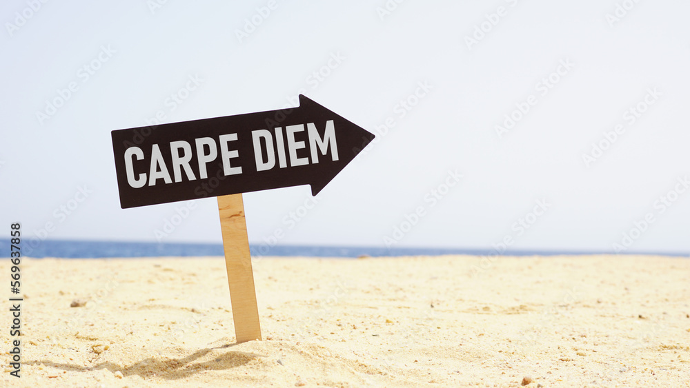 Carpe diem is shown using the text