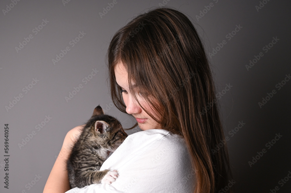 Young girl holding a baby cat on gray background. Female hugging her cute kitty. Adorable domestic pet concept. Young girl holding a baby cat on gray background. Female hugging her cute kitty. Adorable domestic pet concept.