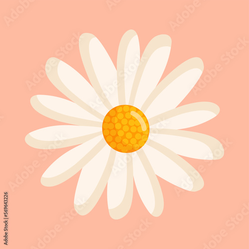 Chamomile flower. Botanical vector isolated illustration for postcard, poster, ad, decor, fabric and other uses.