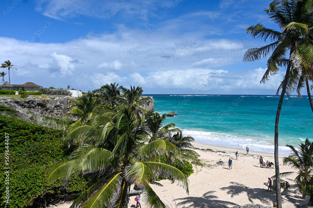Fototapeta premium A Beautiful Beach Day