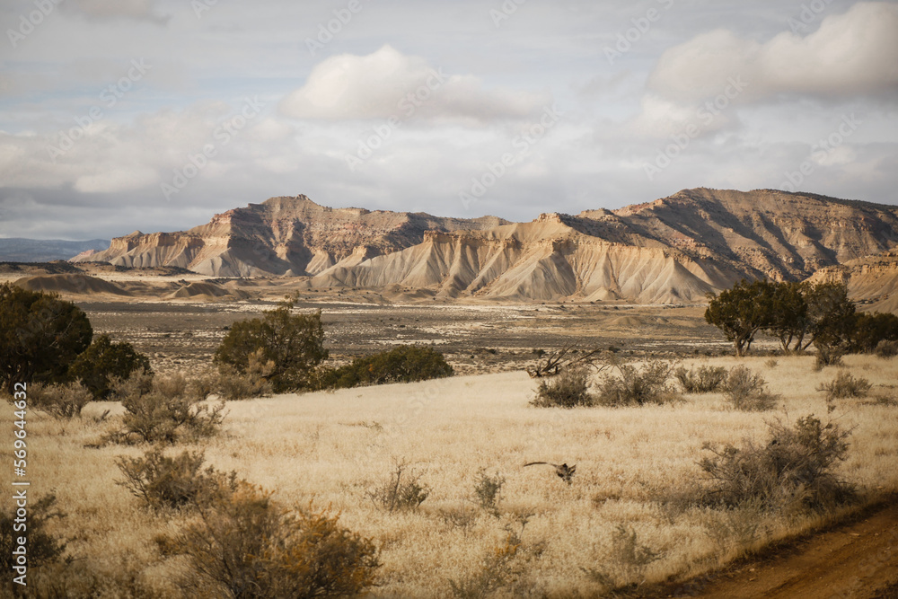 Wide view of bentonite bookcliffs in Grand Junction Colorado set behind dry grassy hills