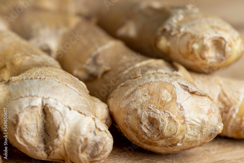 Ginger root which is used for cooking in Asia