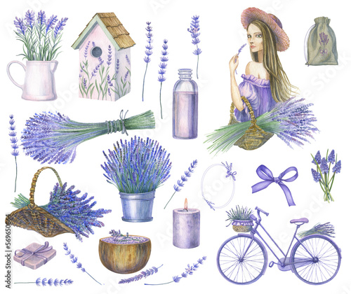 a large set of watercolor images on the theme of lavender