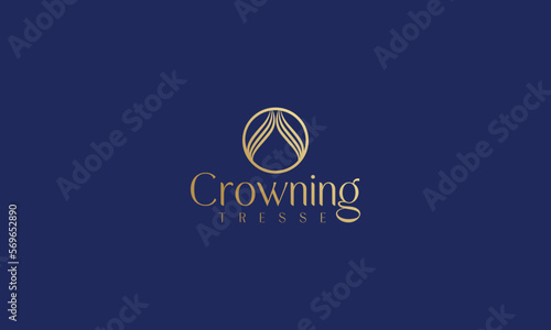 hair care product logo with golden gradient saloon Beauty shampoo logo design (ID: 569652890)